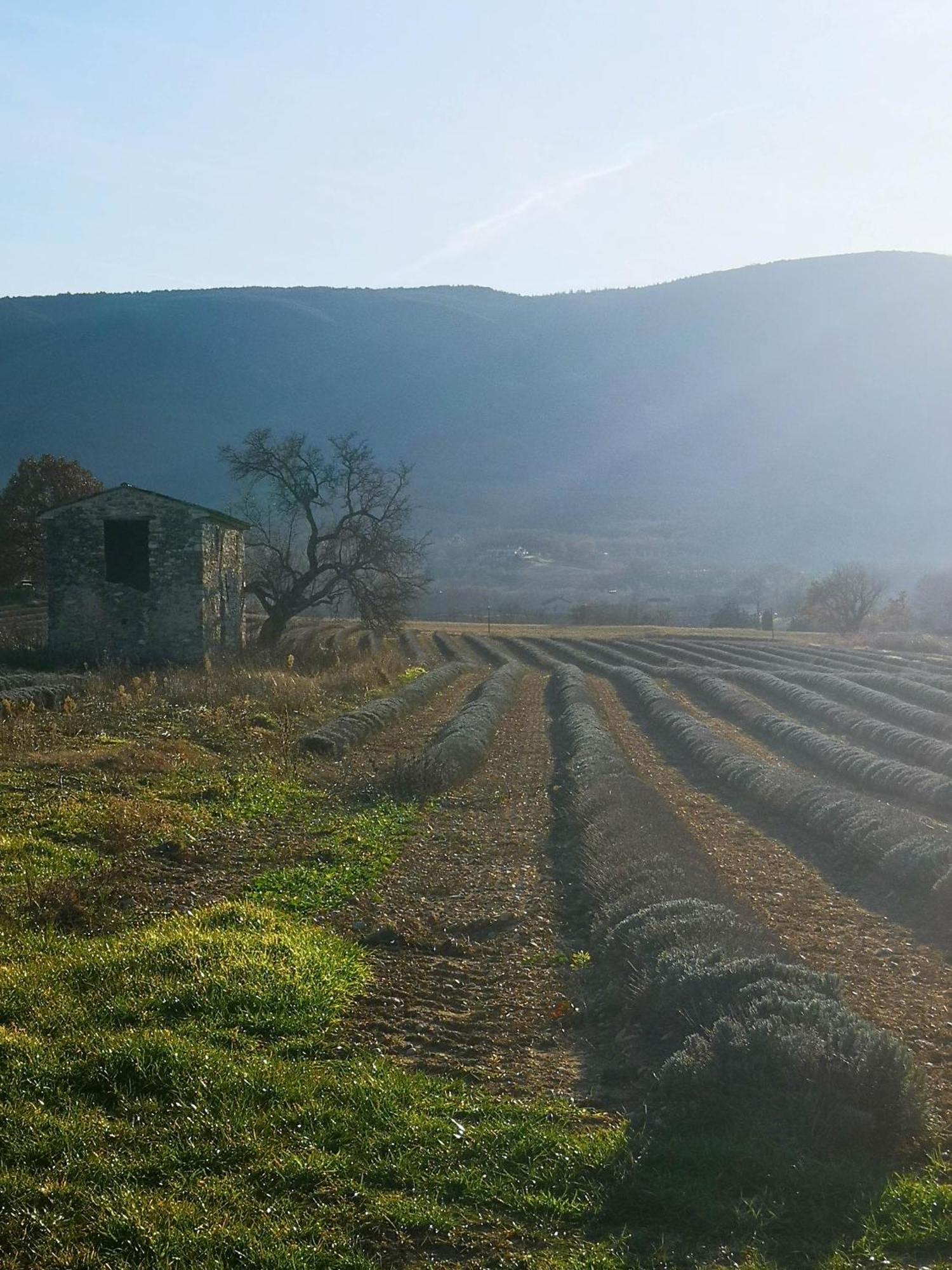 Le Petit Paradis Βίλα Saint-Martin-de-Castillon Εξωτερικό φωτογραφία