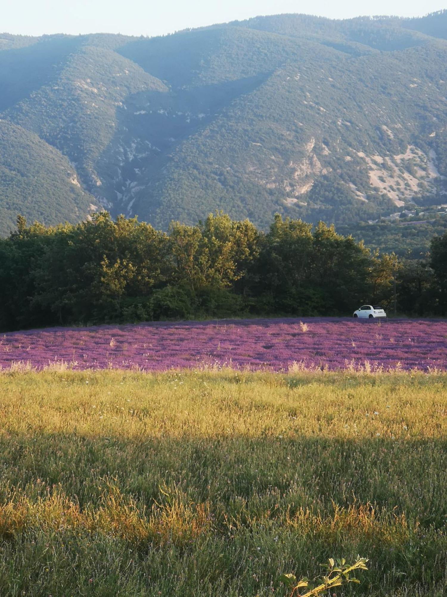 Le Petit Paradis Βίλα Saint-Martin-de-Castillon Εξωτερικό φωτογραφία